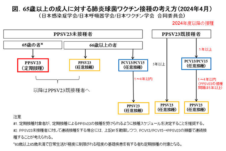 プレベナー13